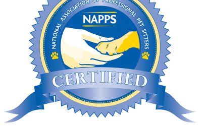 Why Hire Certified NAPPS Pet Sitters