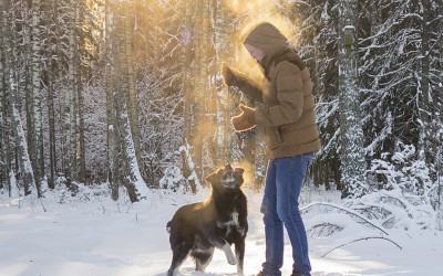 Essentials For Winter Dog Walking