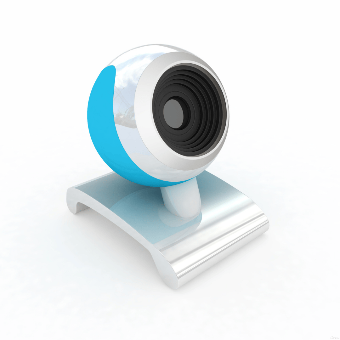 Consider pet cameras for remote check-ins