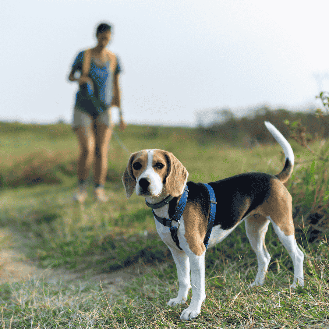 Safety On The Trail