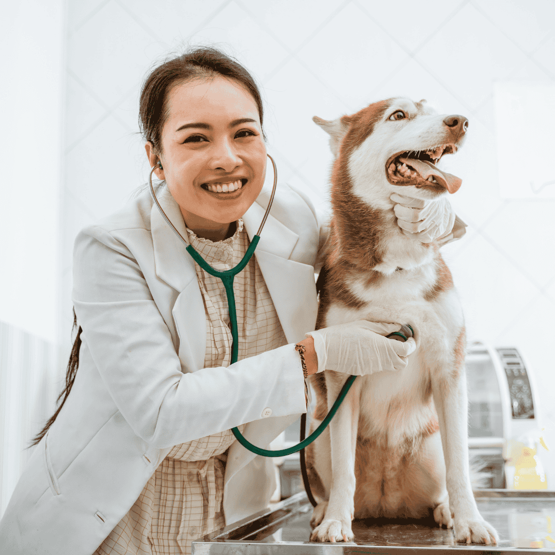 When to Call the Vet