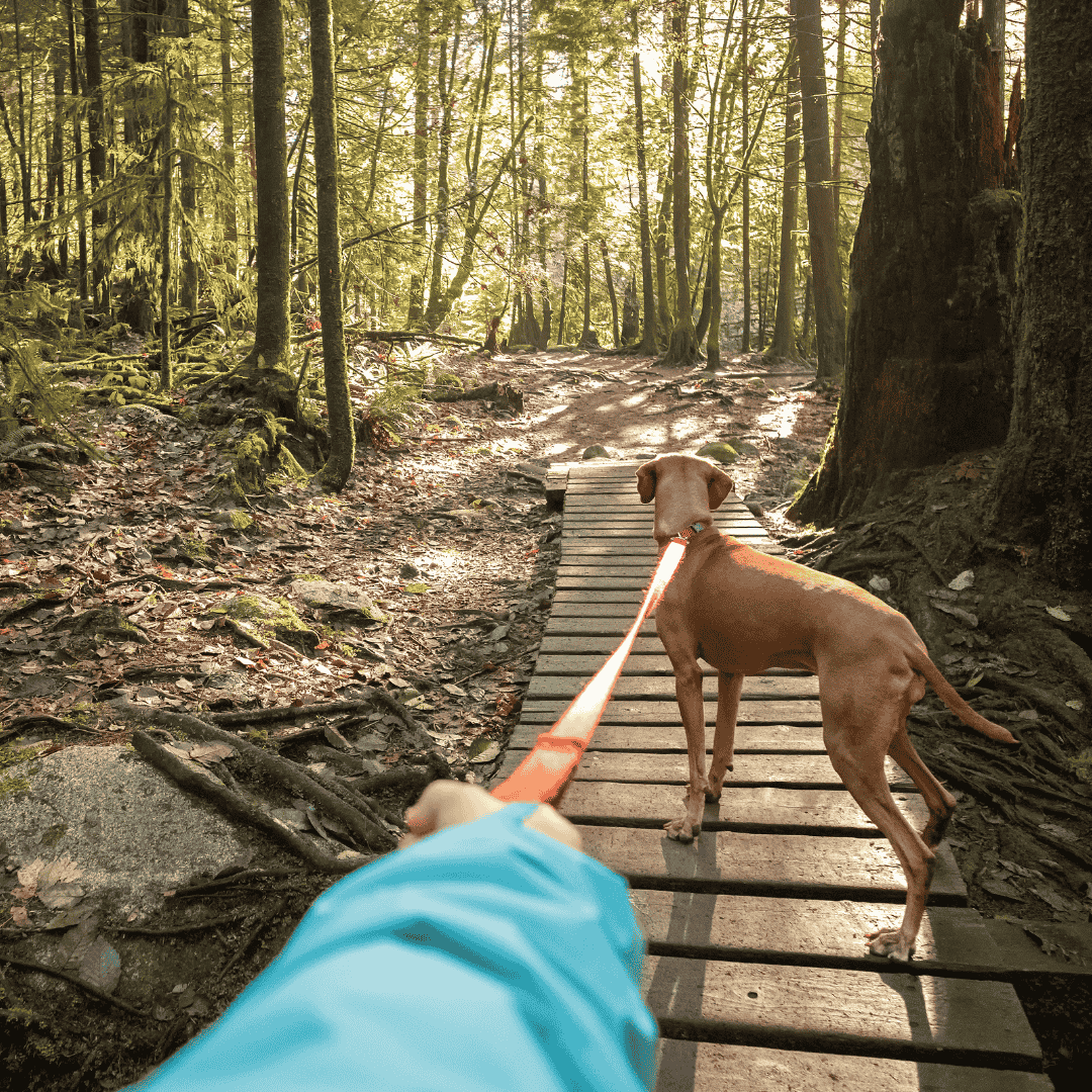 Choose The Right Trail