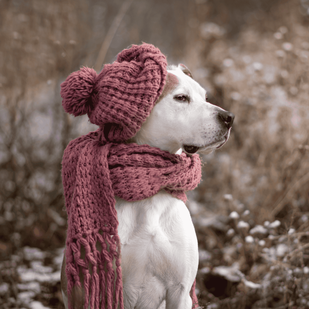 Preventing Hypothermia