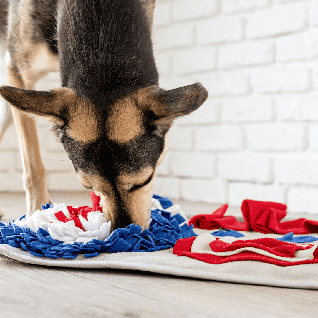 Indoor Entertainment Ideas