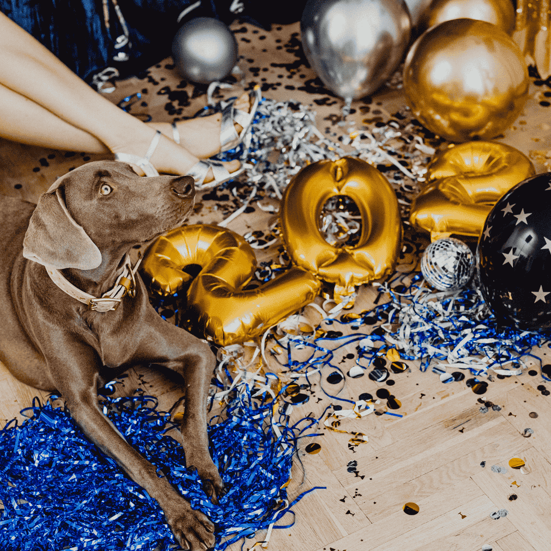 Confetti, Balloons, And Hazardous Fun