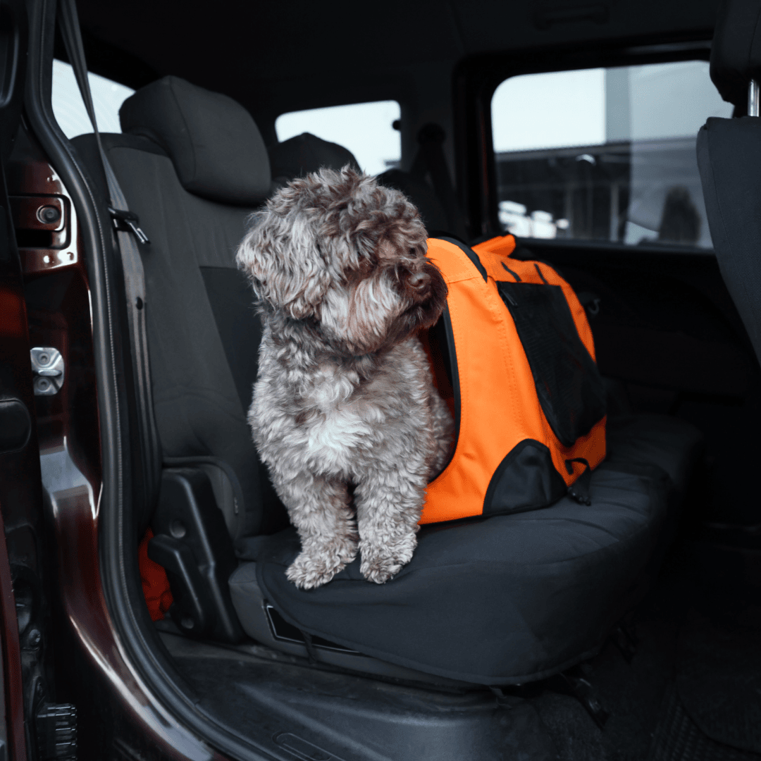 Why Certification Matters More Than Ever