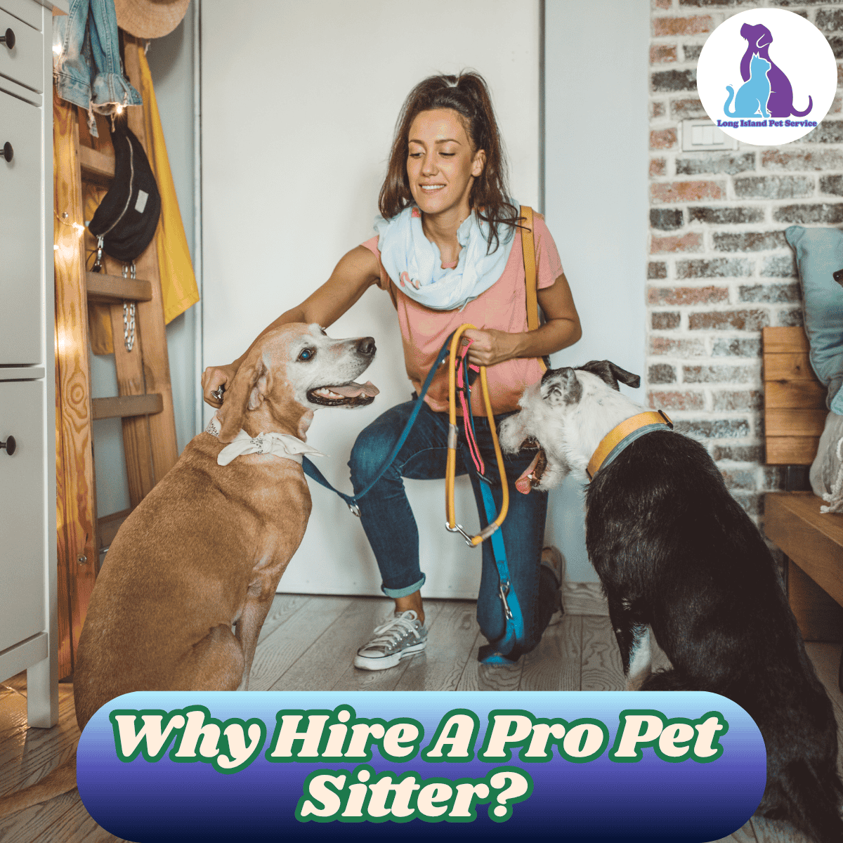 Why Hire A Pro Pet Sitter?
