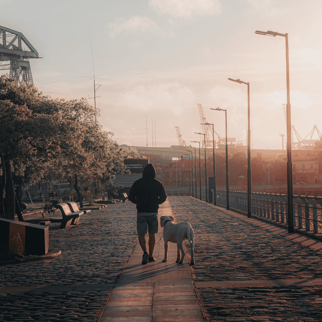 Early Morning Walks