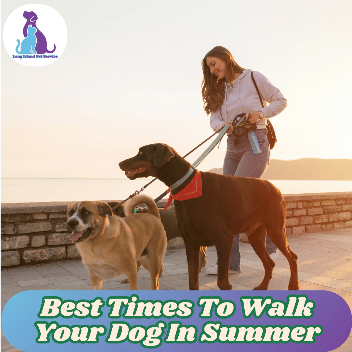 Best Times To Walk Your Dog In Summer