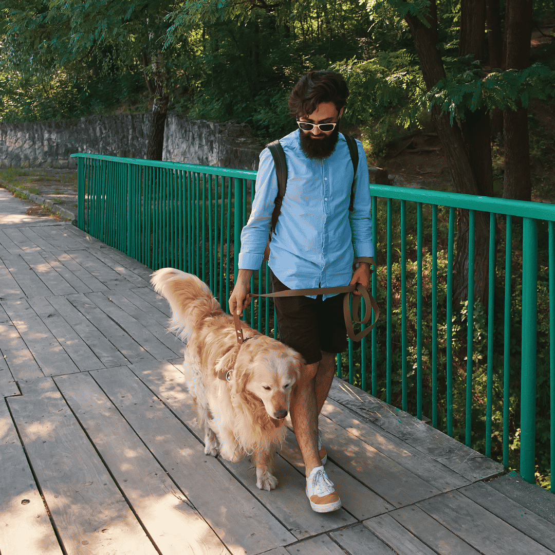 Adjust Walk Times as Days Get Shorter