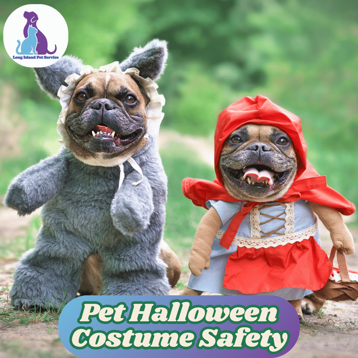Pet Halloween Costume Safety